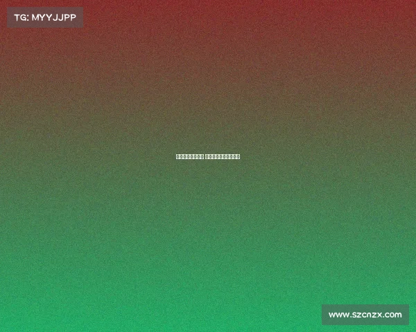 鑫鑫网络电子竞技 鑫鑫网络科技有限公司